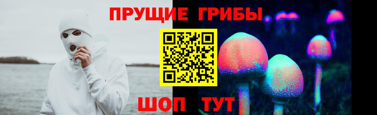 Михайловск  Галлюциногенные грибы ЛСД  Псилоцибиновые грибы прущие грибы  Вход с VPN 