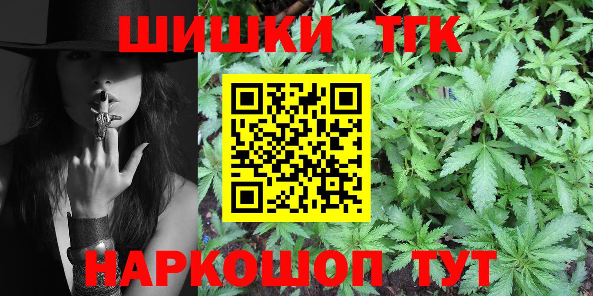 Конопля сатива Михайловск